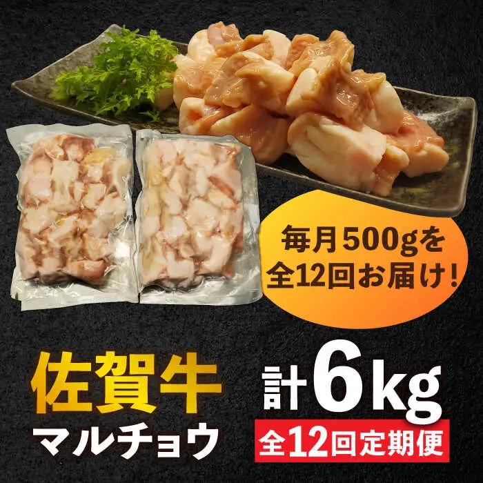 【全12回定期便】 【脂が甘くてぷりっぷり！】佐賀牛ホルモン 焼肉用 小腸 計6kg（250g/袋）味付けなし 吉野ヶ里町/やきとり紋次郎[FCJ093]