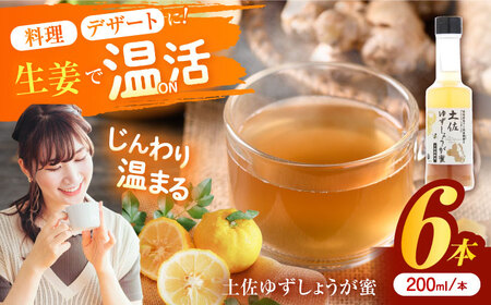土佐ゆずしょうが蜜6本 / 冬 生姜 高知 柚子 シロップ 紅茶 ジンジャー 炭酸【はるのTERRACE】 [ATAV010]