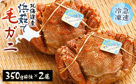 北海道産　浜茹で毛ガニ　350g前後×2尾 カニ けがに 毛蟹