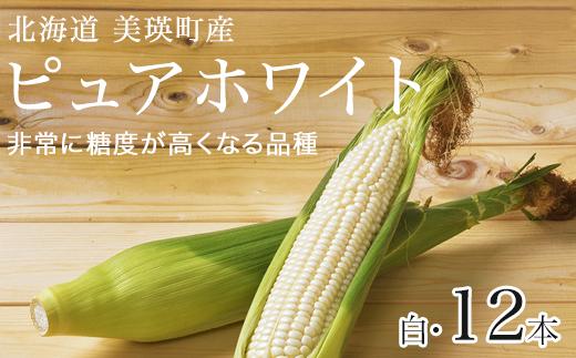 
            【先行予約】とうもろこし（白）12本 <令和7年産 >株式会社 おおとり 美瑛産[014-74]
          