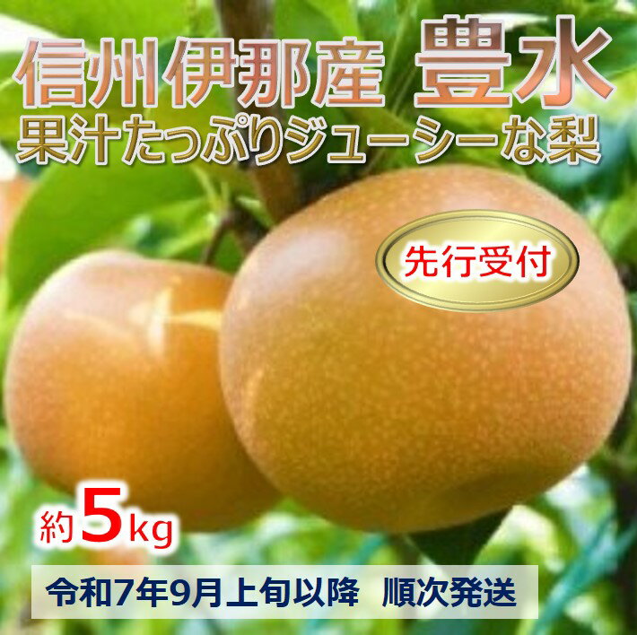 【ふるさと納税】令和7年9月上旬以降発送　果汁たっぷりな梨！豊水　5キロ　信州のジューシーな梨!（なし・梨・ナシ・ほうすい）長野県　伊那市　豊水　5キロ　5kg　与古美【017-17】