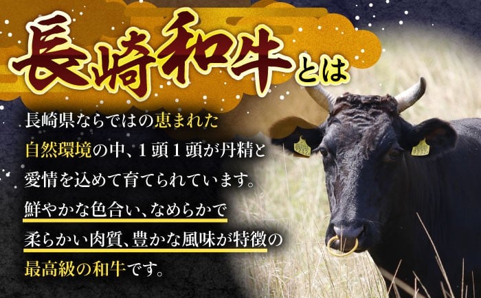 国産和牛 ハンバーグ 焼くだけ 冷凍