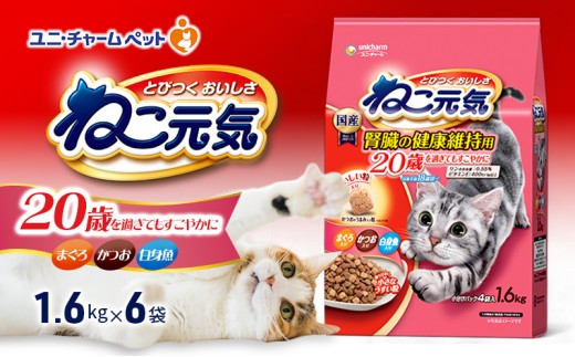 
                  【9月末掲載終了】 ねこ元気 20歳を過ぎてもすこやかに まぐろ・かつお・白身魚入り 1.6kg×6袋 ペットフード キャットフード 猫のごはん 猫用フード 猫 ペット ドライ ユニ・チャーム ペット
                