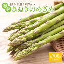 【ふるさと納税】柔らかさと甘みが際立つ さぬきのめざめ春芽 約700g【2025-1月下旬～2025-2月下旬配送】 | アスパラガス 野菜 香川県 オリジナル 品種 シャキシャキ 格別 瀬戸内 香川県 高松市 新鮮