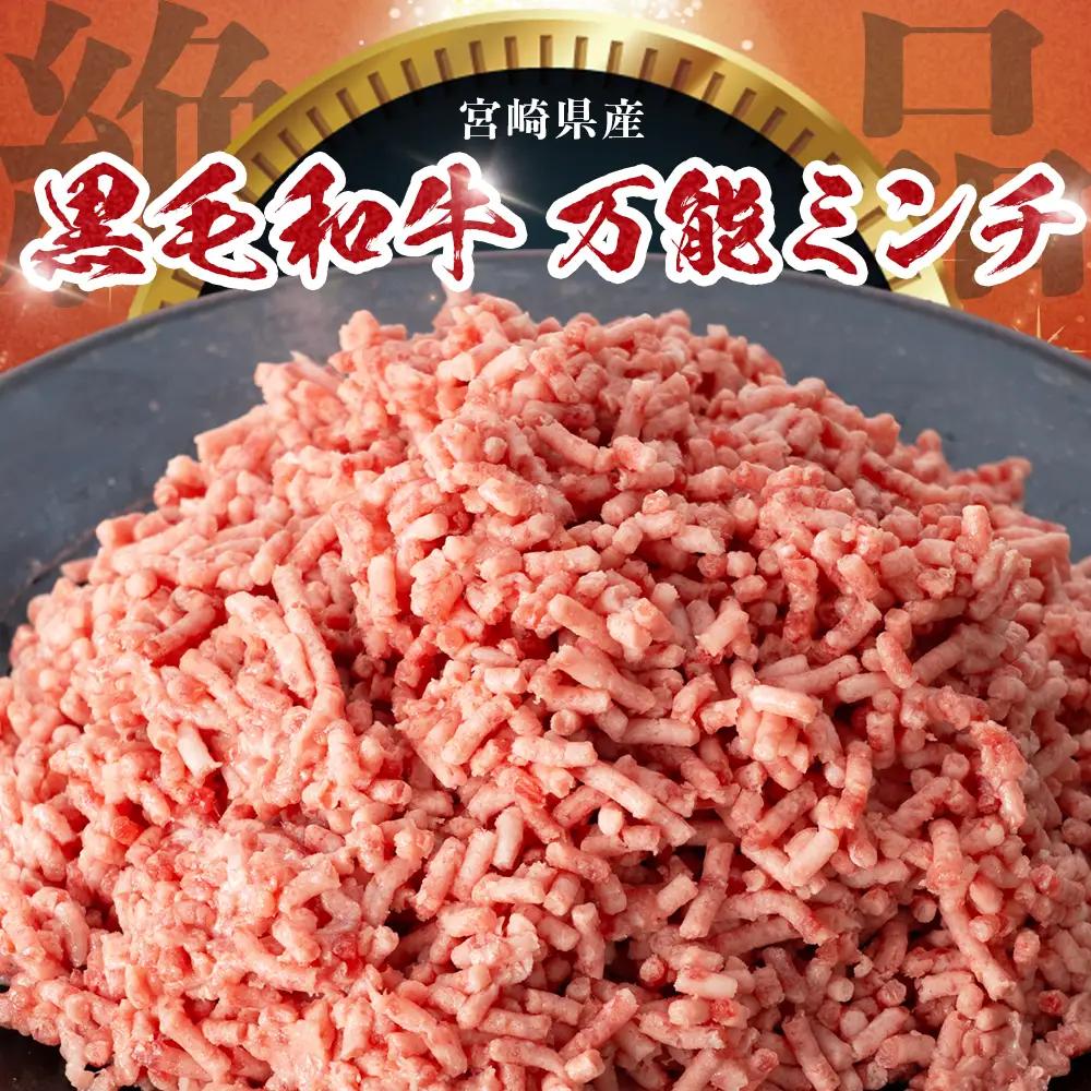 宮崎県産 黒毛和牛 万能ミンチ 約1.1kg（550g×2P）冷凍｜国産牛 牛肉 お肉 ひき肉 ミンチ パック ハンバーグ コロッケ ミートソース 三色丼 家庭用 有田牧畜産業 宮崎県 諸塚村 AR-