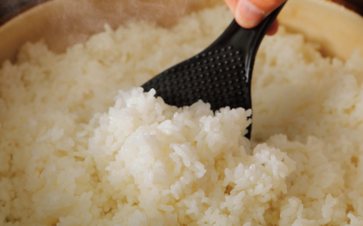 【令和7年産 新米 早期受付 数量限定】 四万十 の 米どころ 山間地域で育てた 大宮米 コシヒカリ 10kg 高知県 高知 しまんと 国産 お米 米 白米 精米 こしひかり 低農薬栽培 ご飯 産地直