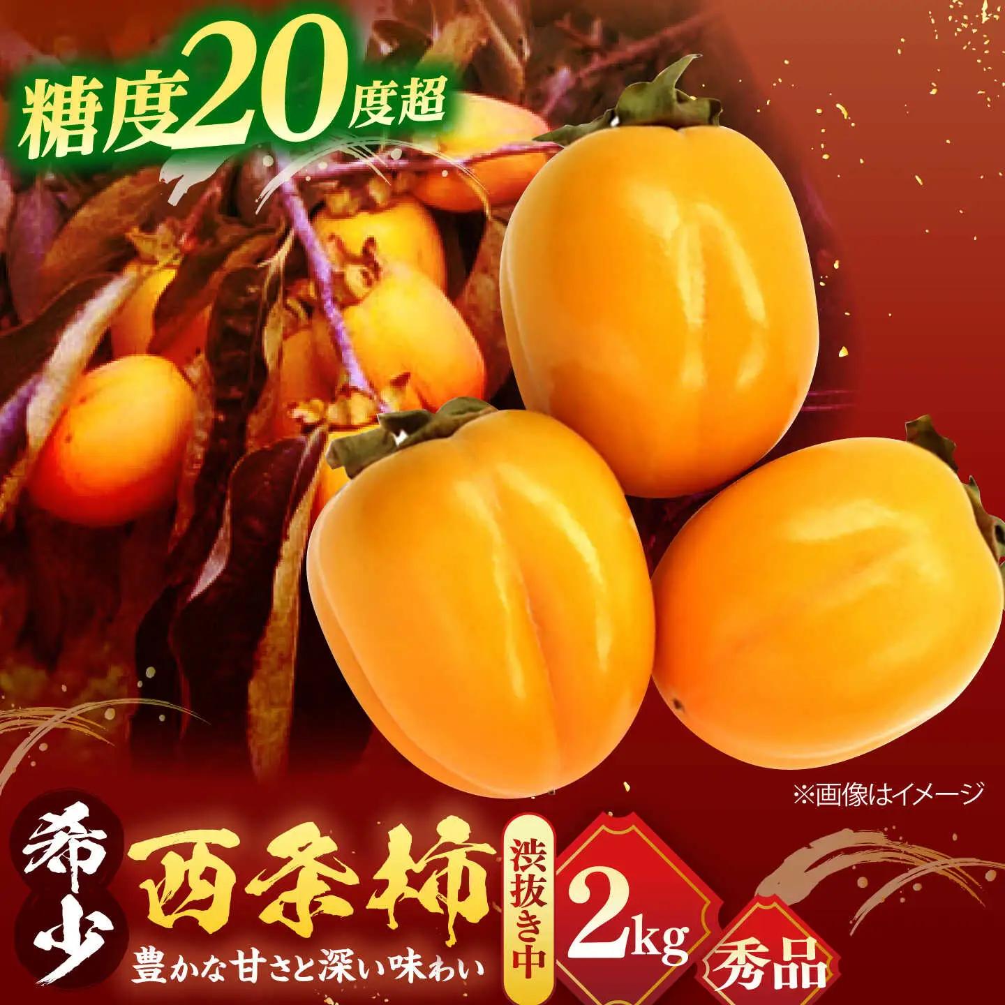 柿 【先行予約】【10個限定】【秀品】 とろ～り甘さの極み！合わせ柿 2kg(8玉?12玉) 島根県松江市/マルカミ農縁株式会社 [ALCM005] 柿 柿