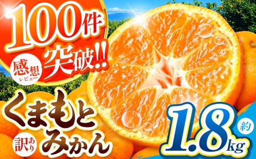 訳あり 大玉 くまもと みかん 約 1.8kg | 果物 みかん くだもの みかん フルーツ みかん 柑橘 みかん 柑橘類 みかん ミカン 家庭用 みかん 熊本県 みかん 玉名市 みかん