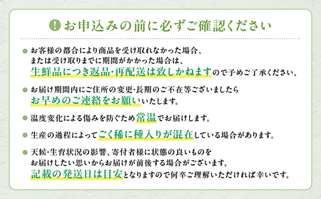 【2025年発送】”自慢の逸品”シャインマスカット 1房 等級 秀 先行予約 先行 予約 山梨県産 産地直送 フルーツ 果物 くだもの ぶどう ブドウ 葡萄 シャイン シャインマスカット 新鮮 人気 