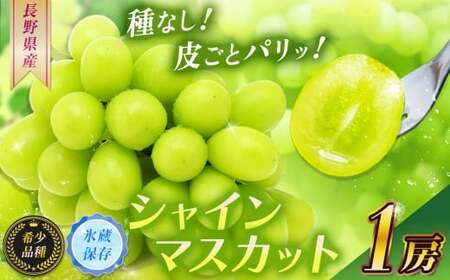 【2025年 先行予約】 【甘みが増す完熟 氷蔵保存】シャインマスカット１房 | シャイン ぶどう 葡萄 ブドウ くだもの 果物 フルーツ マスカット 先行 先行予約 氷蔵保存 希少 長野県 塩尻市