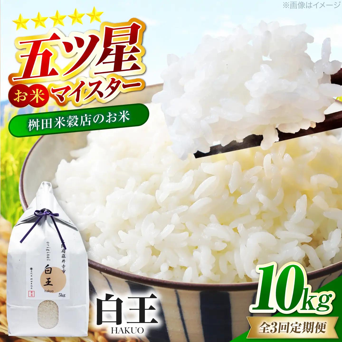 【3回定期便】 お米 白王(HAKUO) 10kg お米 BLAZ006