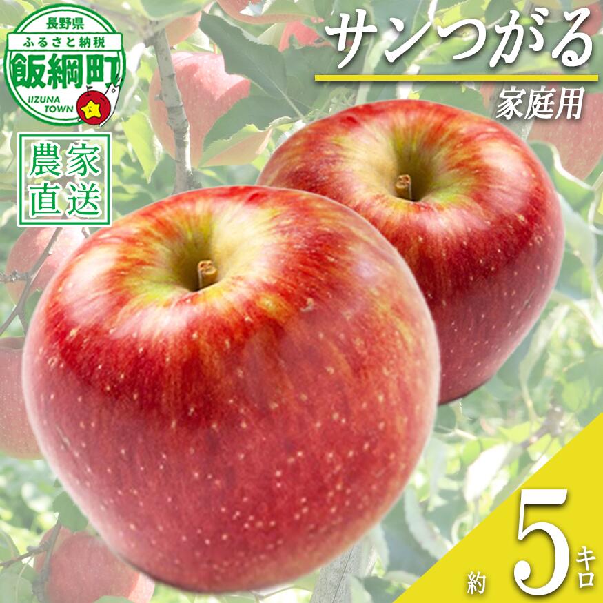 【ふるさと納税】 りんご サンつがる 家庭用 5kg ファームたんぽぽ 沖縄県への配送不可 令和8年度収穫分 長野県 飯綱町 〔 信州 果物 フルーツ リンゴ 林檎 長野 11000円 予約 農家直送 〕発送時期：2026年9月上旬〜2026年9月中旬{**}