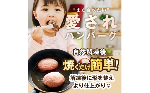 生ハンバーグ 1.8kg (120g×12個)