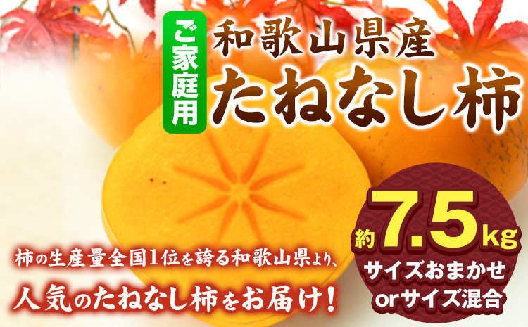 【秋の味覚】【先行予約】和歌山産のたねなし柿ご家庭用約7.5kg《2026年9月上旬-11月中旬頃出荷》かき種なし---wsh_gsk163_9j11c_25_16000_75---st-p