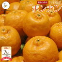 【ふるさと納税】訳あり 森本農園の手選別 ポンカン 7～10kg +200g傷み補償付 和歌山県産 サイズ混合 【北海道・沖縄・離島配送不可】【RN14】 | みかん 蜜柑 フルーツ 果物 くだもの 食品 人気 おすすめ 送料無料