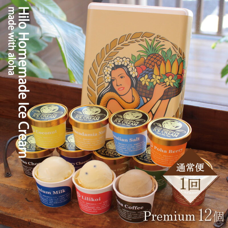 【ふるさと納税】 プレミアムアイスクリーム 130ml×12個 セット スイーツ おやつ デザート 手作り ギフト 詰め合わせ 贈答 お中元 お歳暮 お取り寄せ 冷凍 カップ アイス Hilo Homemade Ice Cream ヒロホームメイドアイス 神奈川 藤沢