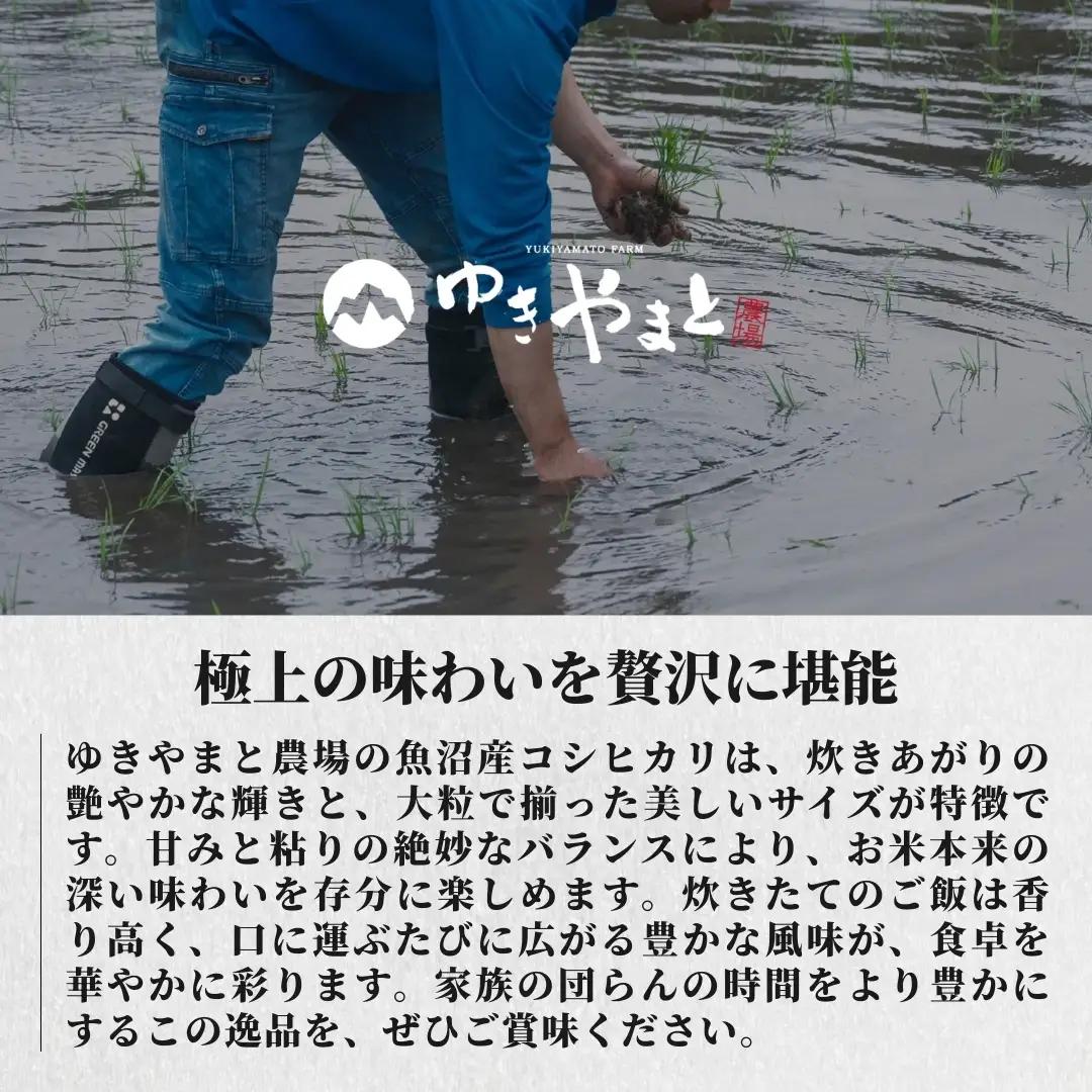 令和8年産先行予約 魚沼産コシヒカリ  特別栽培 ゆきやまと 30kg（5キロ×6袋） | 津南町 魚沼
