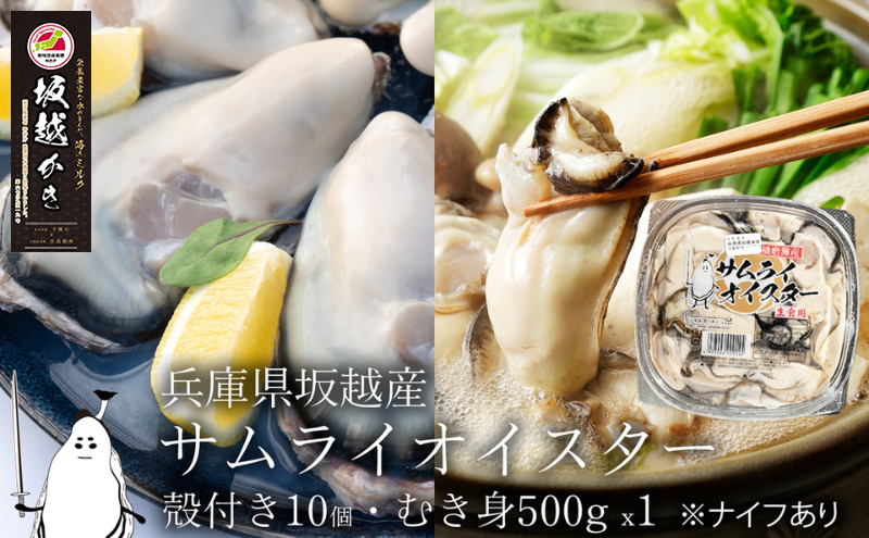 牡蠣 生食 坂越かき むき身 500g×1, 殻付き 10個(牡蠣ナイフ・軍手付き)サムライオイスター 生牡蠣 冬牡蠣 魚貝類