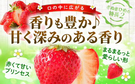 【年内発送】三木町地域いちご部会『さぬきひめ』　400g（化粧箱入）| スイーツ いちご ストロベリー イチゴ さぬき姫 さぬきひめ 苺 甘い 冷蔵 フルーツ 旬 果物 香川県 デザート 青果物 贈答