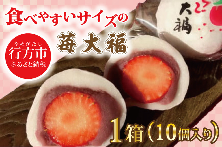 
                  【2027年1月より発送】食べやすいサイズの苺大福（10個入り）(S-8-4)
                