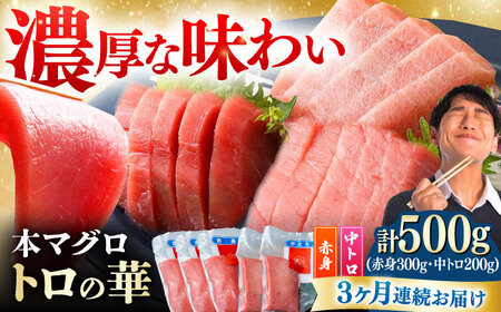 【全3回定期便】対馬産 本マグロ 500g（赤身300g、中トロ200g） トロの華 対馬 新鮮 マグロ トロ 鮪 刺身 [WAQ044]