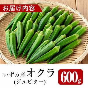 先行予約 2026年7月下旬～10月下旬の間に発送予定 いずみ産 オクラ 新たな品種・ジュピター 600g 【イーサイドライン】 i1216-A