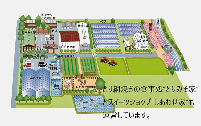 1451 特選自然米　コシヒカリ　10㎏