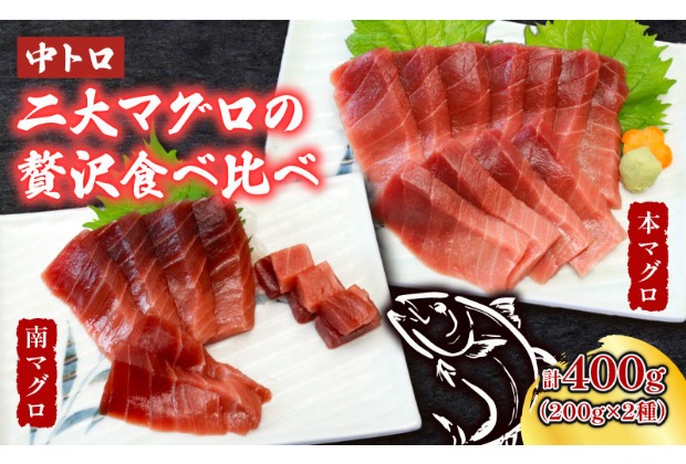 本マグロ　南マグロ　中トロ各１柵　（計４００ｇ）　食べ比べ まぐろ 鮪 鮮魚 魚 柵 ２種 贅沢 高級 人気