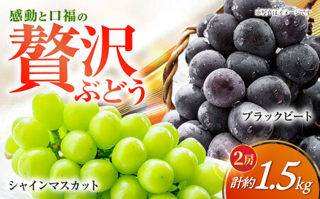 シャインマスカット＆ブラックビート 2房（約1.5kg） 長与/JAじげもん長与直売所[EAF007]