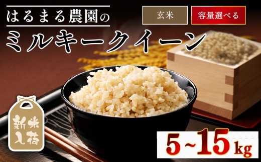 令和8年産 京都丹波福知山産 はるまる農園のミルキークイーン 玄米(5kg) 【fc-CN005-R8-A】【はるまる農園】
