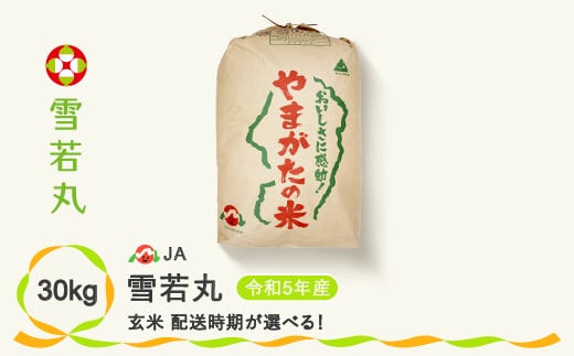 
令和5年産 玄米 雪若丸 30kg ja-ywgxa30
