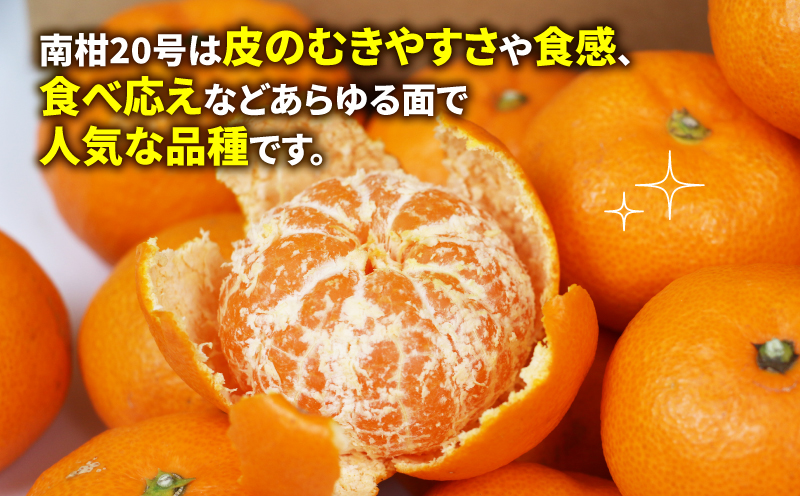 みかん 南柑20号 9kg 玉津柑橘倶楽部 みかんみかんみかんみかんみかんみかんみかんみかんみかんみかんみかんみかんみかんみかんみかんみかんみかんみかんみかんみかんみかんみかんみかんみかんみかんみかん