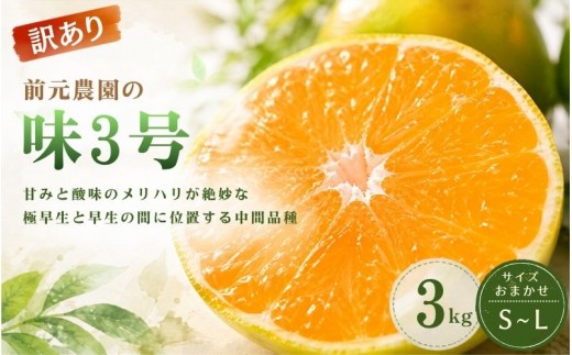 
                  訳あり 前元農園の味3号 3kg S～Lサイズおまかせ【2026年10月下旬頃～順次発送予定】 /  フルーツ  みかん 蜜柑 三重県  高品質 みえ アルギット 訳あり【mmg040】
                