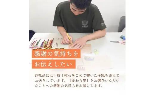 豚肉 豚ロース肉 味噌漬け 塩糀漬けセット 800g 障がい者支援 豚肉