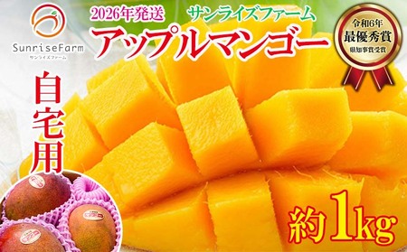 マンゴー【2026年発送】サンライズファーム 自宅用マンゴー 約1kg（2～3玉）