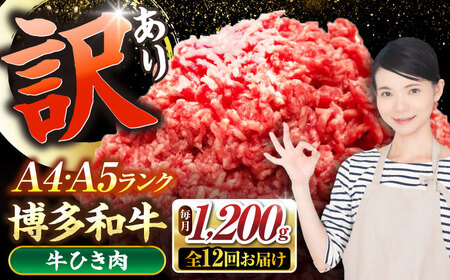 【全12回定期便】【訳あり】 博多和牛 100％ ミンチ (挽肉) 1.2kg（300g×4個） [VDZ099] ひき肉 牛肉 ハンバーグ