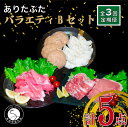 【ふるさと納税】【3回定期便 豚肉5種セット】ありたぶた バラエティBセット (豚肉5種) 3回 定期便 小分け 真空パック 豚肉 ロース バラ モモ もも 赤身 ハンバーグ 餃子 N30-33