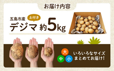 島の元気なじゃがいも!旨味抜群の『デジマ』5kg 五島市/あわたに農園[PGO004]