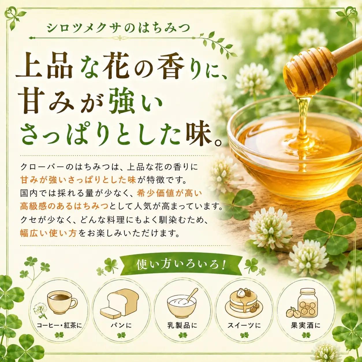 北海道標茶町産　しろつめ草の蜂蜜 （300g×2本）　|  はちみつ はちみつ