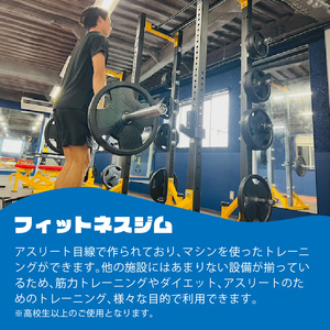 ゴリラパーク 体験チケット 高校生 大学生 チケット体験チケット割引チケット割引券