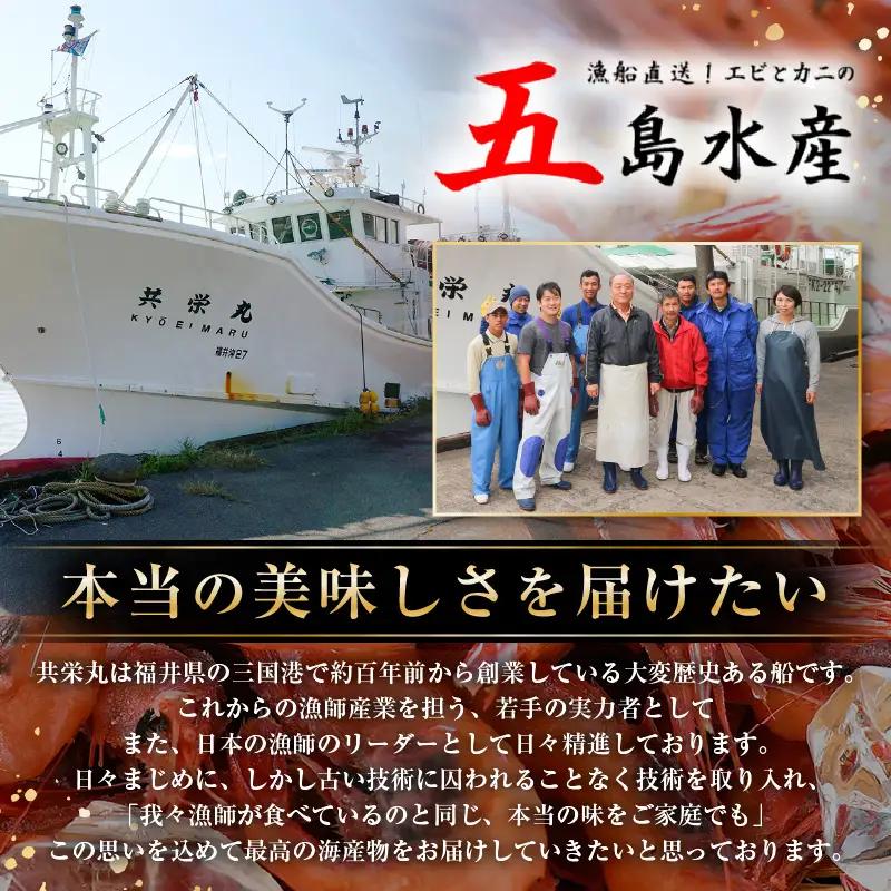 甘エビ 約1.65kg エビ 冷凍 [B-2325]