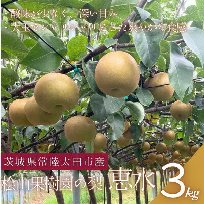 【ふるさと納税】【先行予約】2026年9月順次発送 桧山果樹園 茨城県 ブランド梨 恵水3kg【配送不可地域：離島・沖縄県】【1668041】