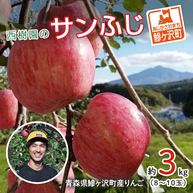 【ふるさと納税】《先行予約》 りんご 特選 サンふじ 青森県産 約 3kg (8～10玉） フルーツ 果物 ふじ 産地直送 お取り寄せ 送料無料 青森県 鰺ヶ沢町 《西樹園》　お届け：2026年11月15日～2027年1月15日