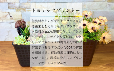 【エコ製品】トヨテックプランター 黒 4サイズセット(4・5・6・6.5号)