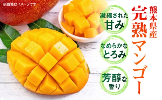 秀品 完熟マンゴー約1kg（2～3玉）
