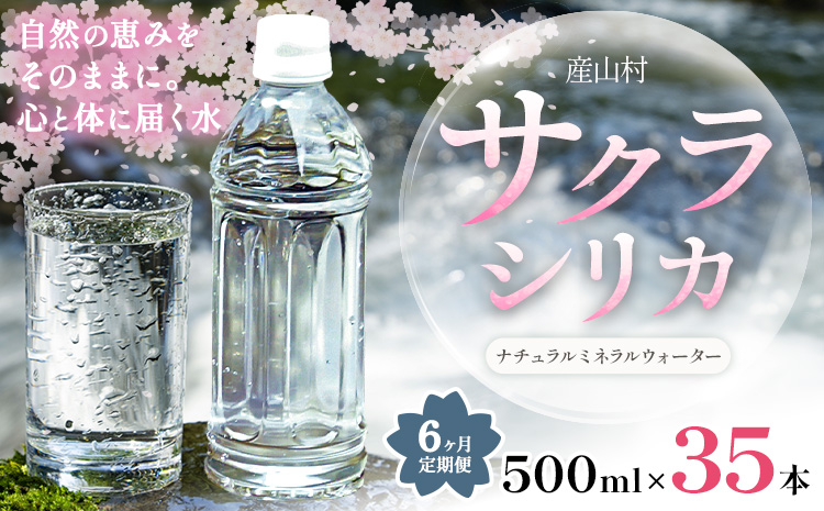 【6ヶ月定期便】サクラシリカ 500ml 35本 定期便 みずの里《お申込み翌月から出荷》熊本県 阿蘇郡 産山村 ミネラルウォーター シリカ 水 天然水 鉱水 ラベルレス ラベルなし