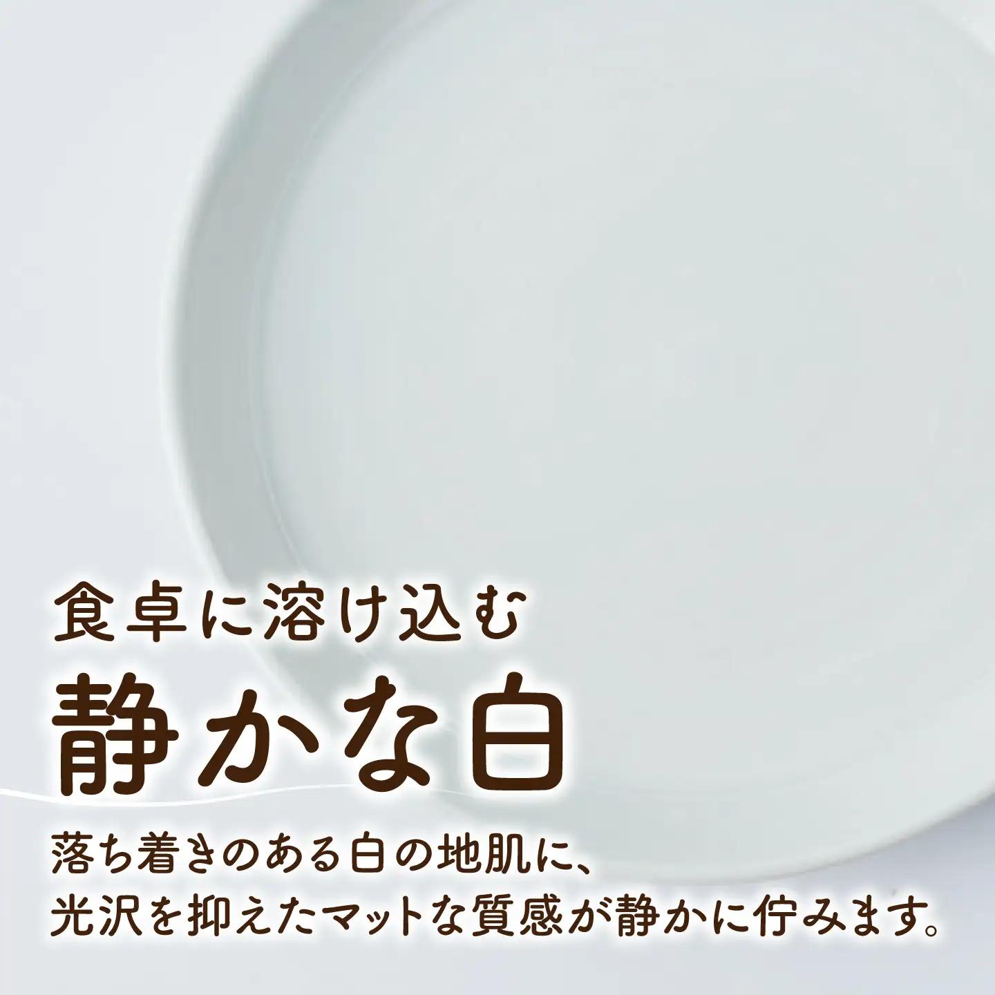 砥部焼 平皿 小×1個 / 砥部焼 食器 和食器 器 平皿 小皿 取り皿 おしゃれ モダン 食洗機 レンジ ペア セット 日常使い 来客用 ギフト プレゼント お祝い / 愛媛県砥部町/ひろき窯[BJ