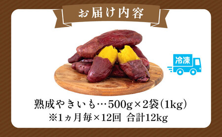 【定期便・全12回】熟成やきいも 熟成 焼き芋 さつまいも 1kg