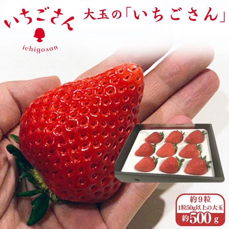 【ふるさと納税】ITOFARM 大玉のいちごさん イチゴ いちご 苺 フルーツ 果物 佐賀県産 ：B630-002