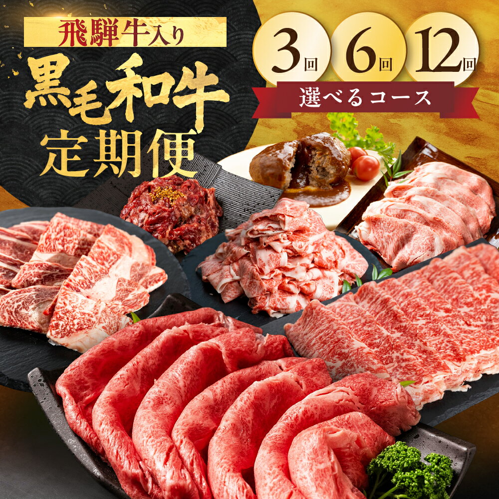 【ふるさと納税】＼飛騨牛入り／ 黒毛和牛 お肉の定期便（全3回 / 全6回 / 全12回） ブランド牛 定期便 焼肉 / すき焼き / しゃぶしゃぶ / 切り落とし / ハンバーグ / 赤身 / もも / 肩 / ロース / カルビ 国産 食べ比べ セット 牛肉 肉 和牛 飛米牛 毎月 冷凍 どやな飛騨市